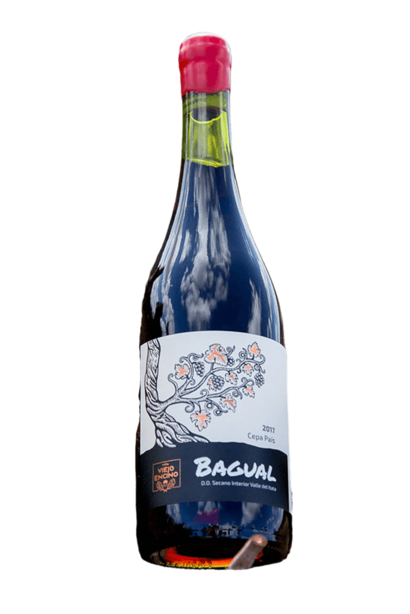 Imagen de Bagual